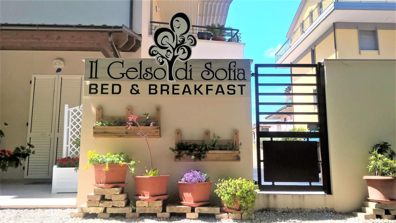 Tortoreto Il Gelso Di Sofia B&B المظهر الخارجي الصورة